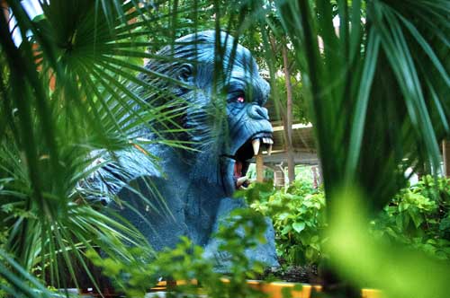 Terror-in-the-Jungle Jungle Island Miami